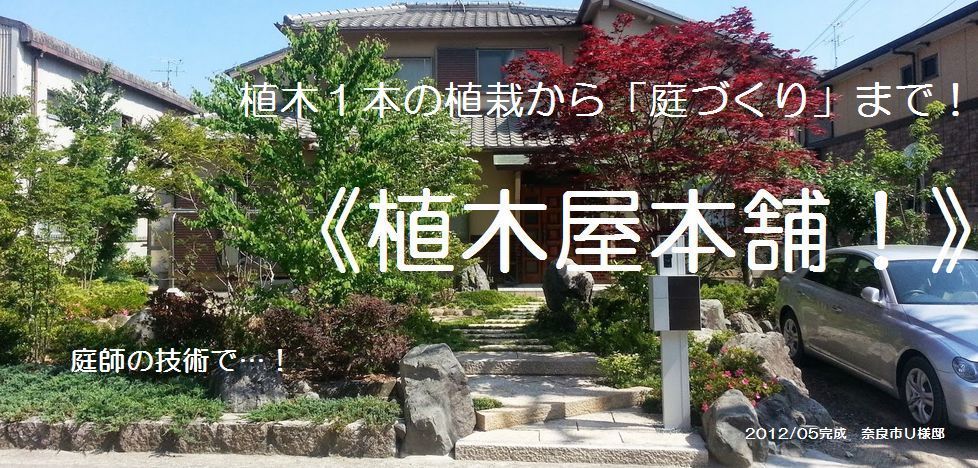 奈良・京都で造園・庭づくり・剪定・庭の手入れ・庭園管理なら≪植木屋本舗≫に御任せ！奈良県・京都府・大阪府